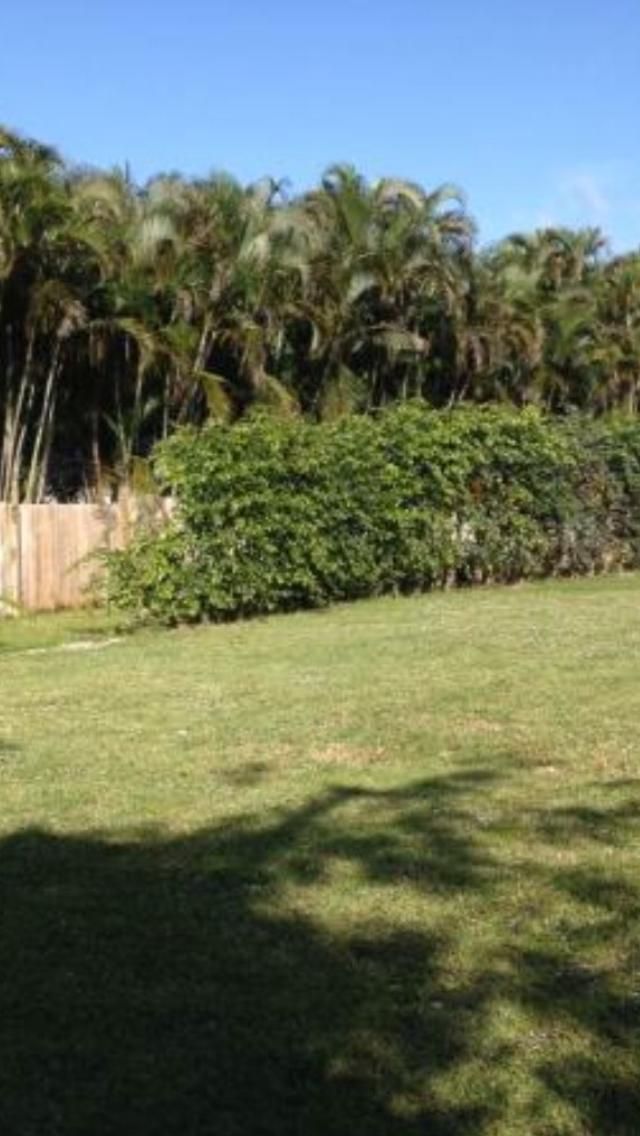 1975 Palm Acres Drive, Palm Springs, FL 33406 Photo