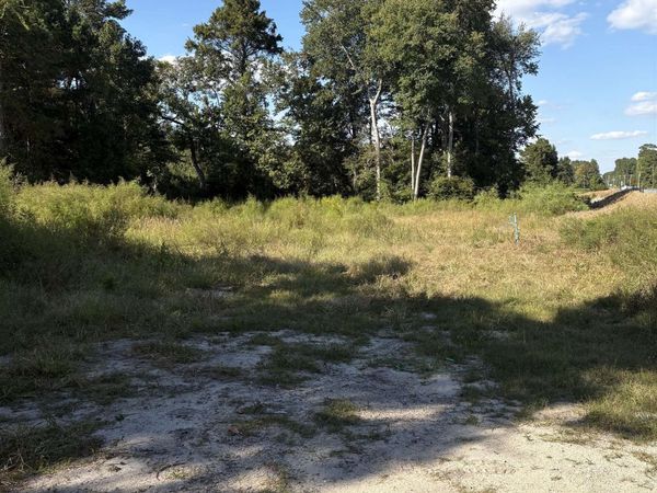 TBD Red Bluff Rd. , Loris, SC 29569