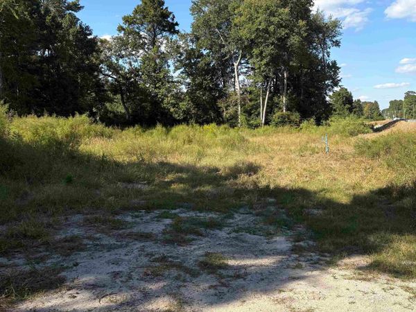 TBD Red Bluff Rd. , Loris, SC 29569