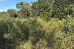 Tbd Red Bluff Rd.  photo 4