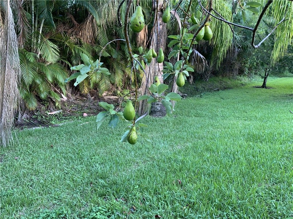 460 46th Court, Vero Beach, FL 32968 Photo