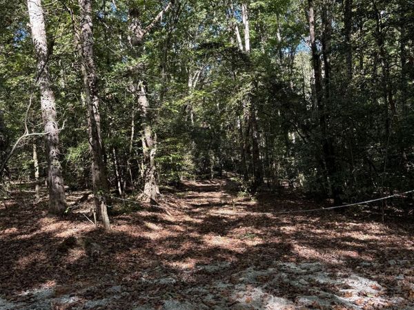 1035 Holly Hills Drive, Hartwell, GA 30643