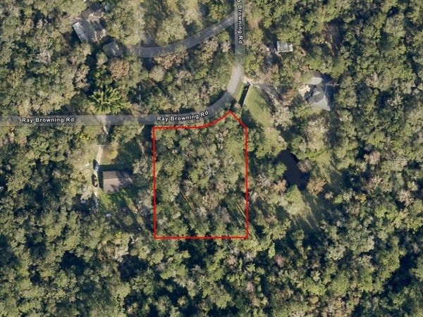 0 RAY BROWNING ROAD , BROOKSVILLE, FL 34601