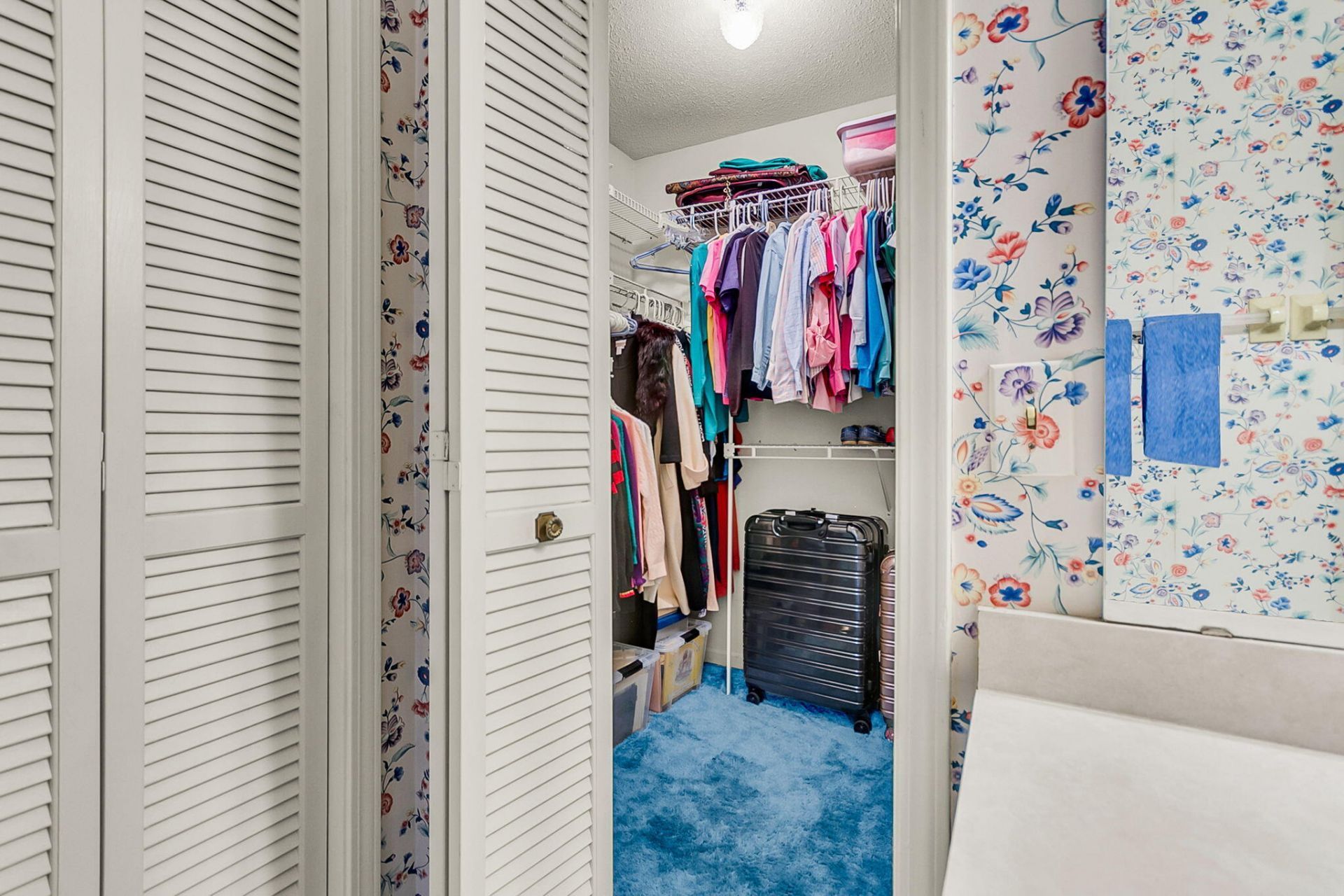 1803 Ventura Place Photo 43