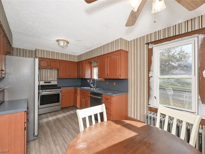 221 Mill Street, Lodi, OH 44254 Photo 12