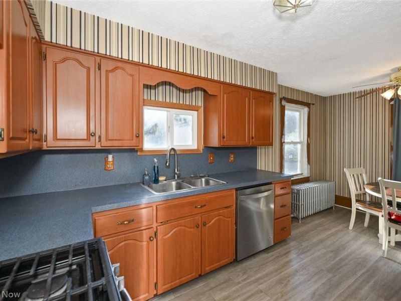 221 Mill Street, Lodi, OH 44254 Photo 13