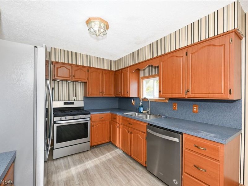 221 Mill Street, Lodi, OH 44254 Photo 14