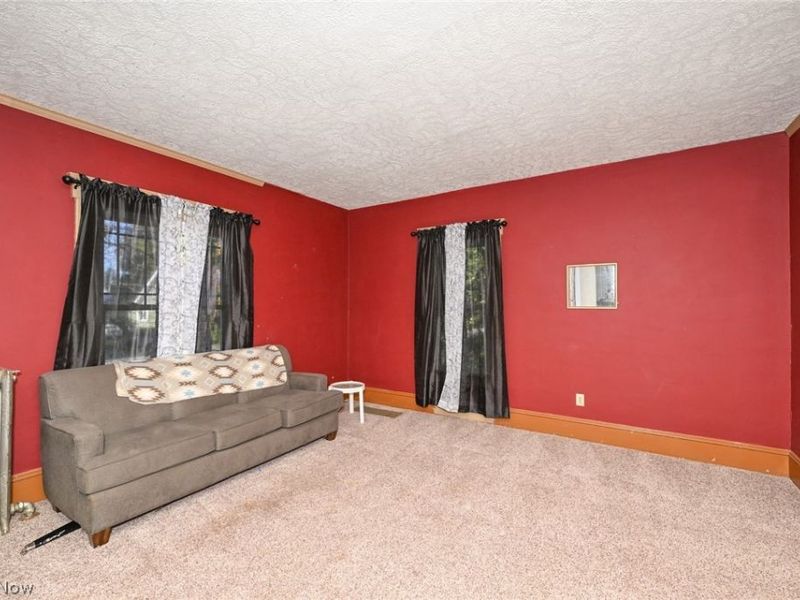 221 Mill Street, Lodi, OH 44254 Photo 16