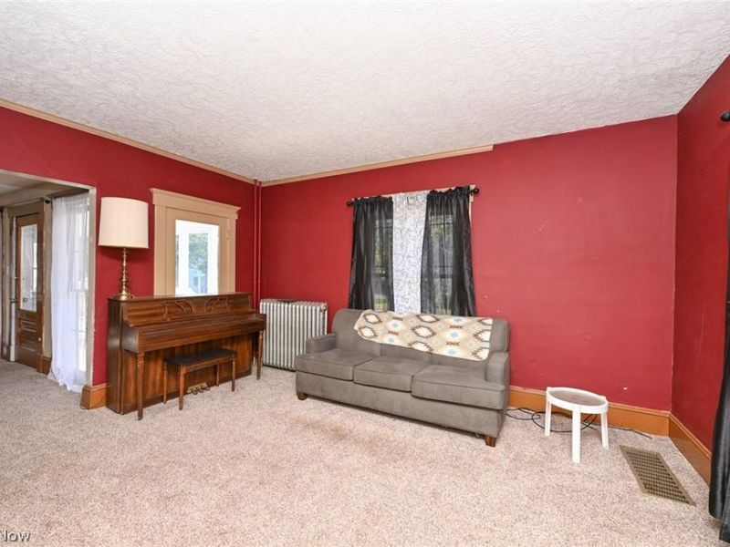 221 Mill Street, Lodi, OH 44254 Photo 18