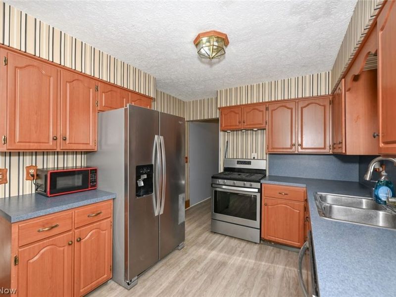 221 Mill Street, Lodi, OH 44254 Photo 19