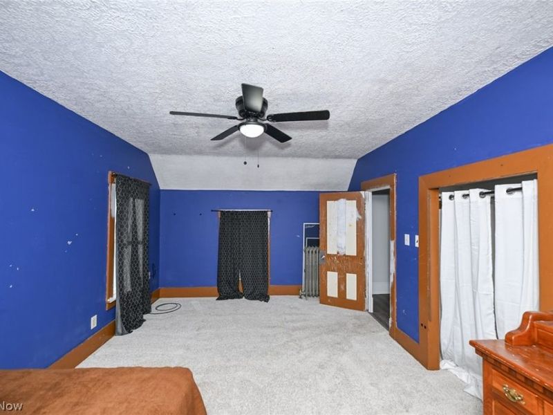 221 Mill Street, Lodi, OH 44254 Photo 31