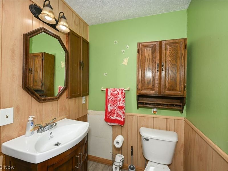 221 Mill Street, Lodi, OH 44254 Photo 39