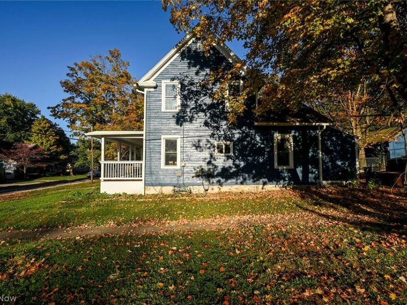 221 Mill Street, Lodi, OH 44254 Photo 5