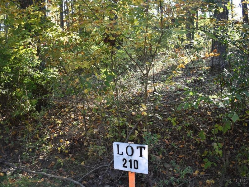 0 Schiltz Drive, Unit 210, Perry Township, OH 45118 Photo 2