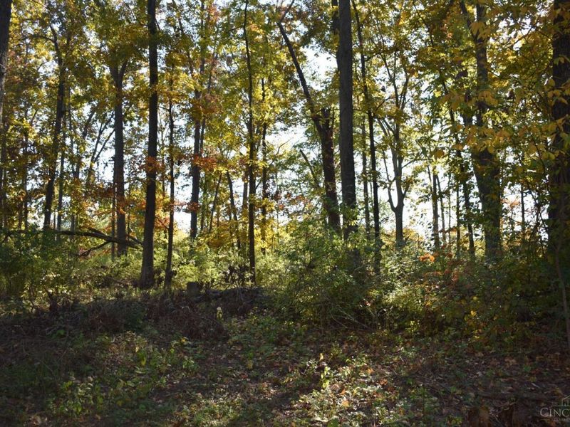0 Schiltz Drive, Unit 210, Perry Township, OH 45118 Photo 4