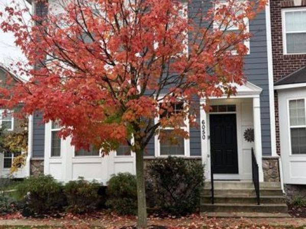 6050 LOGANS WAY, ELLICOTT CITY, MD 21043