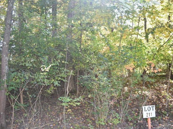 0 Schlitz Drive, Unit 211, Perry Twp, OH 45118