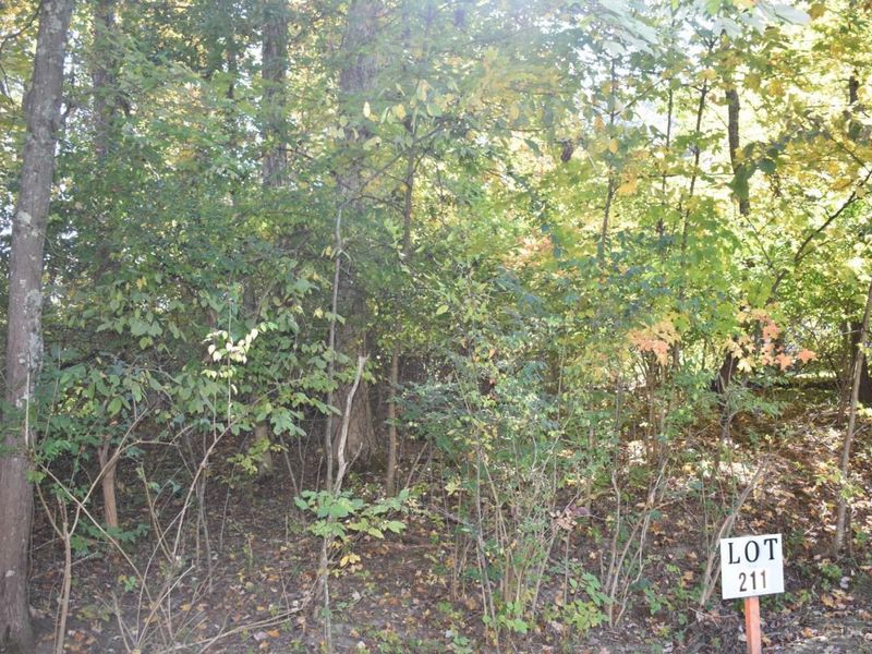 0 Schlitz Drive, Unit 211, Perry Township, OH 45118 Photo 1