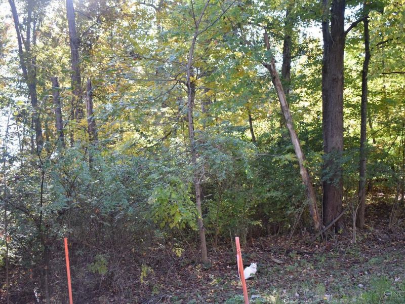 0 Schlitz Drive, Unit 211, Perry Township, OH 45118 Photo 2