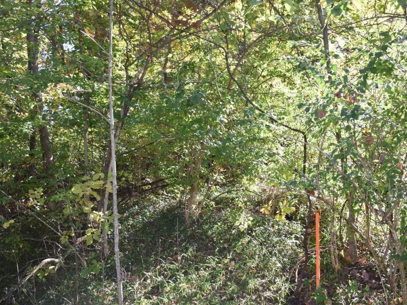 0 Schlitz Drive, Unit 211, Perry Township, OH 45118 Photo 3