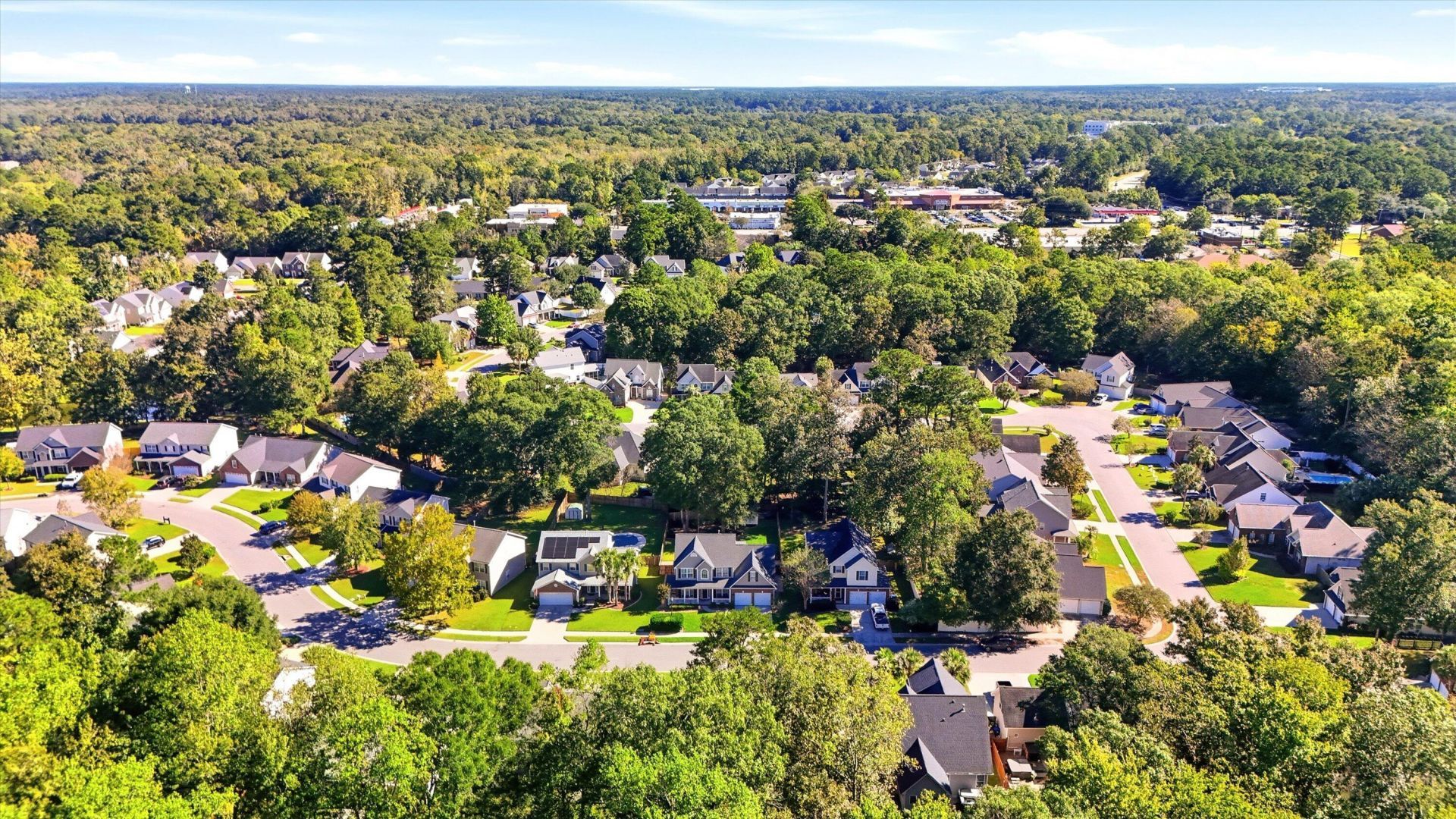 131 Willowbend Lane Photo 41