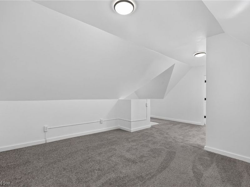 2314 E 95th Street, Cleveland, OH 44106 Photo 43