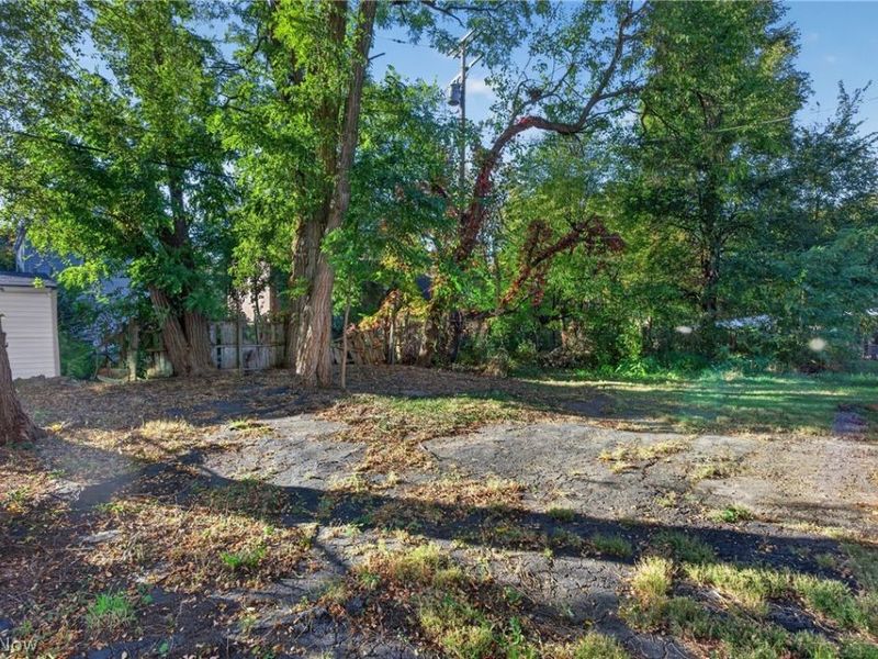 2314 E 95th Street, Cleveland, OH 44106 Photo 7
