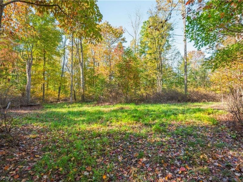 11560 Ralston Road, Kimbolton, OH 43749 Photo 26