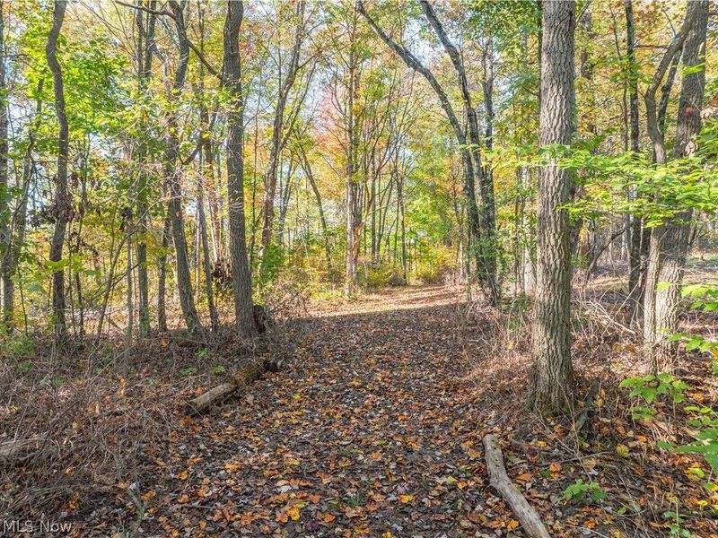 11560 Ralston Road, Kimbolton, OH 43749 Photo 32