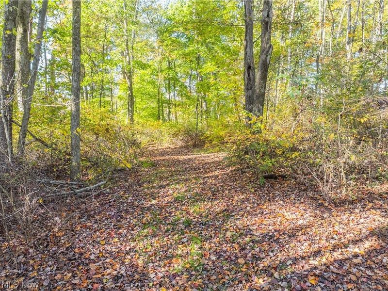 11560 Ralston Road, Kimbolton, OH 43749 Photo 33