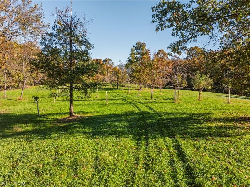 11560 Ralston Road, Kimbolton, OH 43749 Photo 36