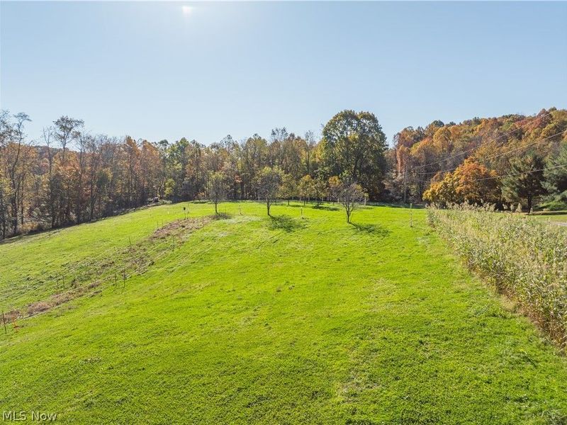 11560 Ralston Road, Kimbolton, OH 43749 Photo 41