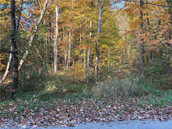 VL Glenstone Drive , Kirtland, OH 44094
