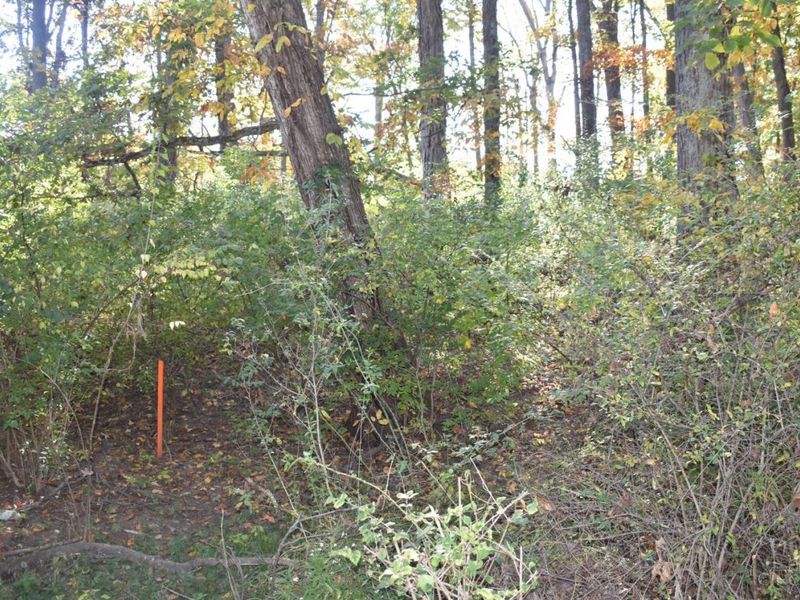 209 Schlitz Drive, Unit 209, Perry Township, OH 45118 Photo 3