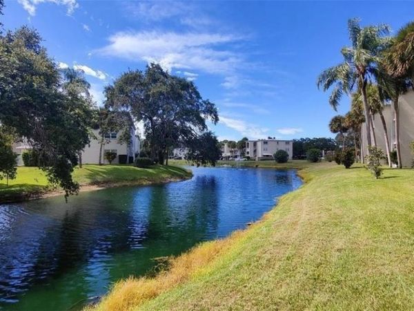 952 VIRGINIA STREET , Unit 103, DUNEDIN, FL 34698