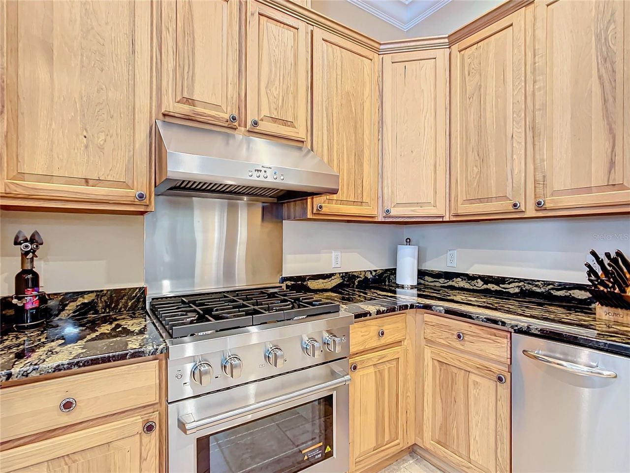 7688 SE 135th Street, Summerfield, FL 34491 Photo