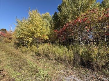 1521 Shoemaker Road , Mohawk, NY 13407