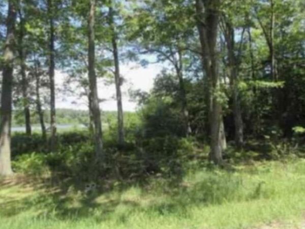 Palm Drive, Spring Lake, MI 49456