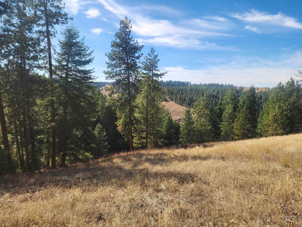 TBD Jack Pine Road, CottonWood, ID 83522