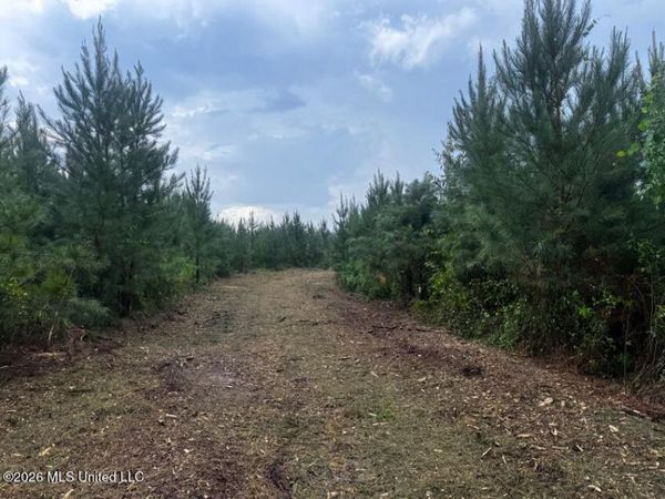 Ms-540 , Harrisville, MS 39082