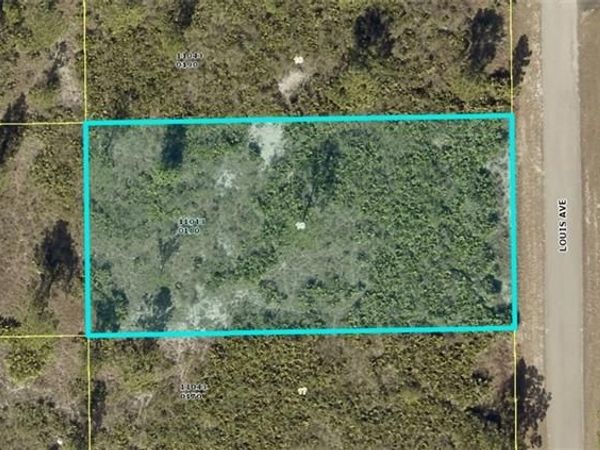 311 Louis AVE , LEHIGH ACRES, FL 33936