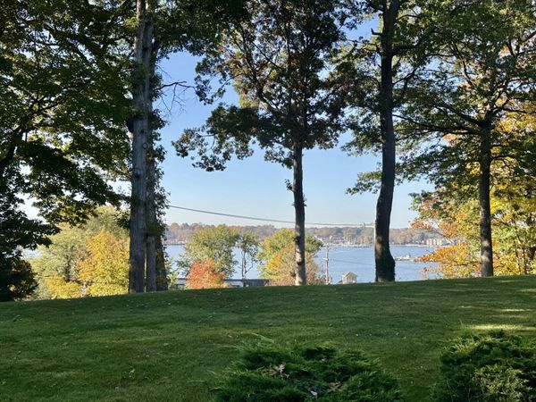 124 Elizabeth Street, Unit 6, Saugatuck, MI 49453