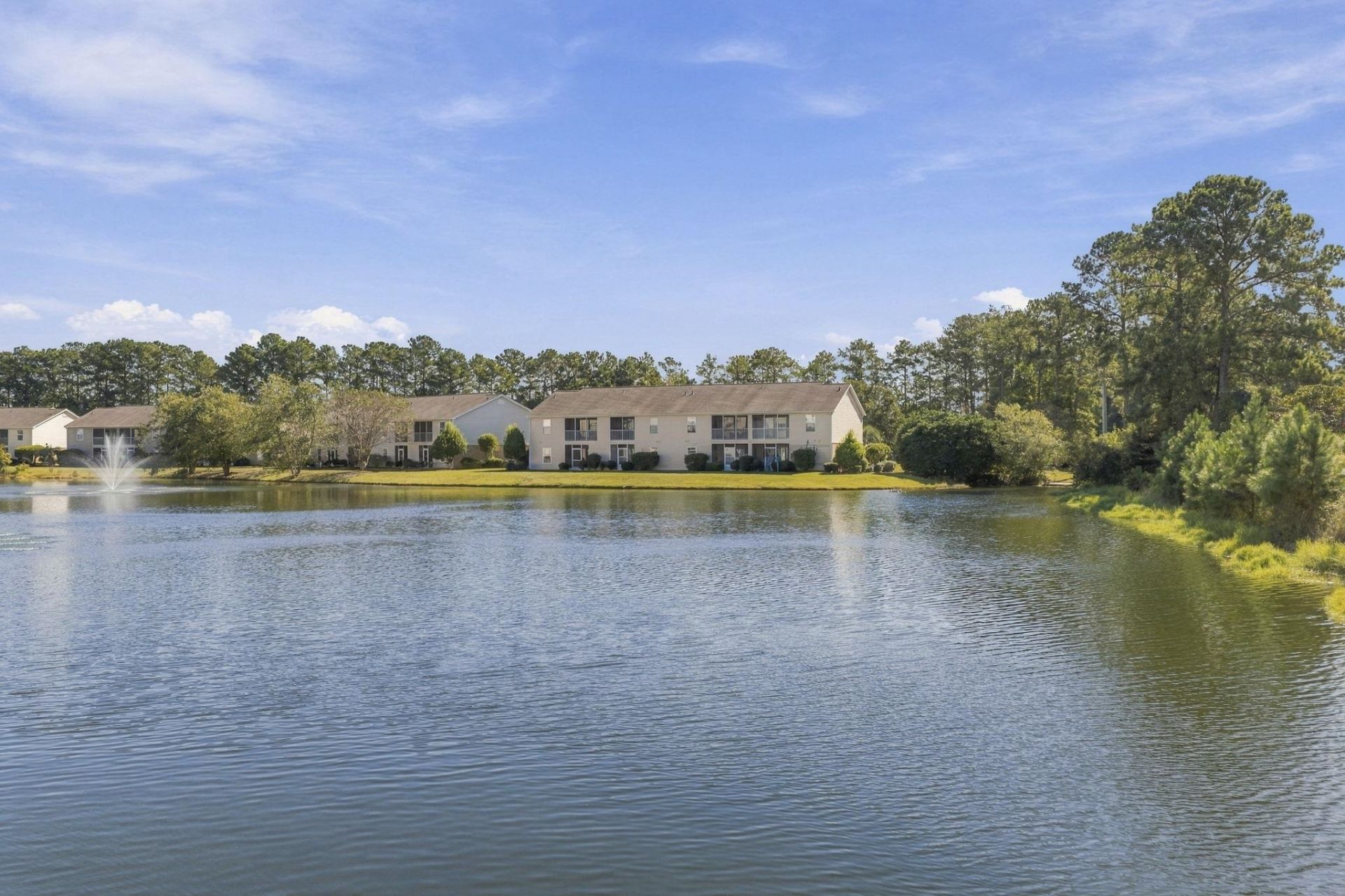 3698 Clay Pond Village Ln.  Photo 22