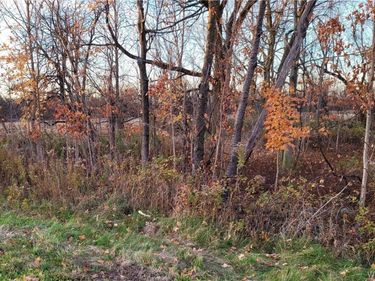 10900 Miland , Clarence, NY 14031