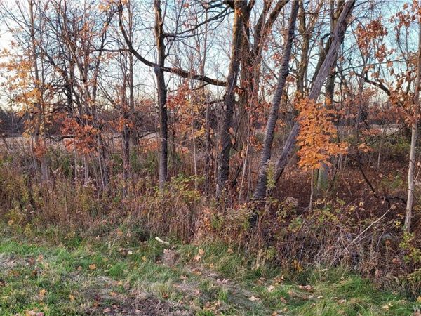10900 Miland, Clarence, NY 14031