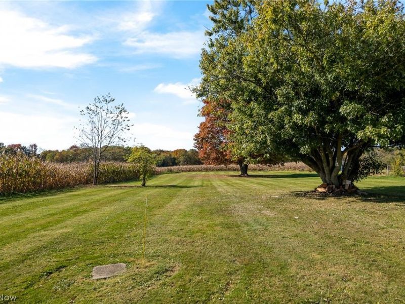 14782 Hametown Road, Doylestown, OH 44230 Photo 23
