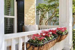 130 Etiwan Park Street photo 4