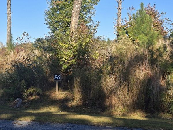 LOT 86 River Overlook Lane, Ellijay, GA 30540