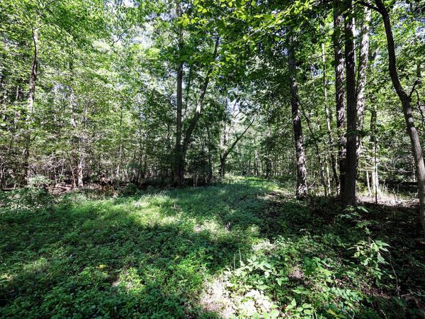VL Summit Rd, Leonidas, MI 49066