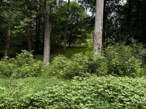 420 Shepherd Hollow Rd , Indian Mound, TN 37079